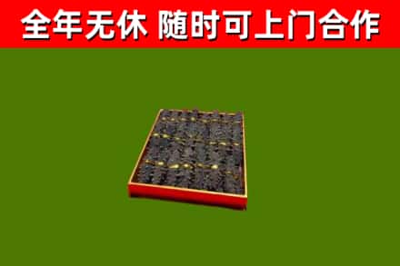 金阳回收海参